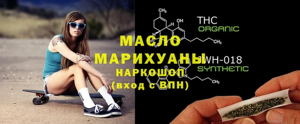 молекула духа Волоколамск