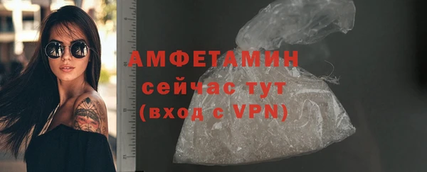 молекула духа Волоколамск