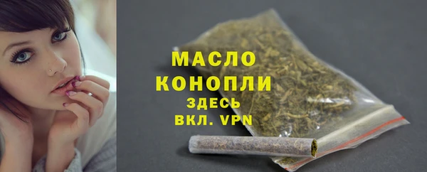 молекула духа Волоколамск
