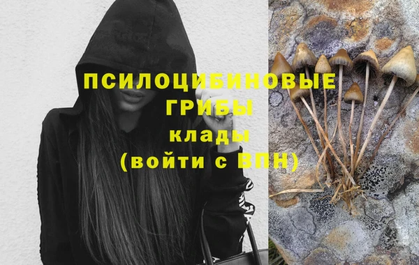 дживик Волосово