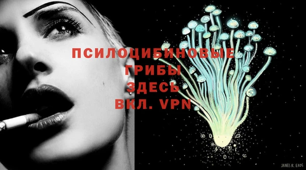 молекула духа Волоколамск