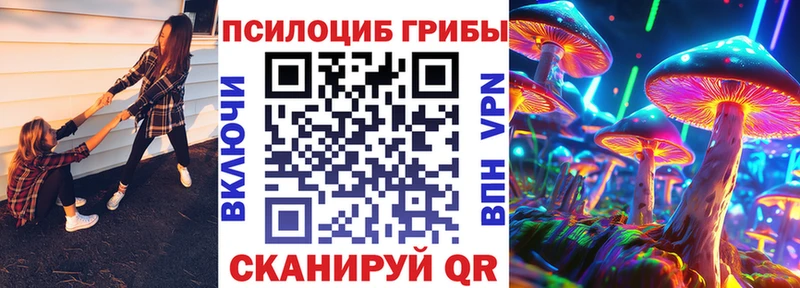 Псилоцибиновые грибы мухоморы  кракен рабочий сайт  Новоржев 